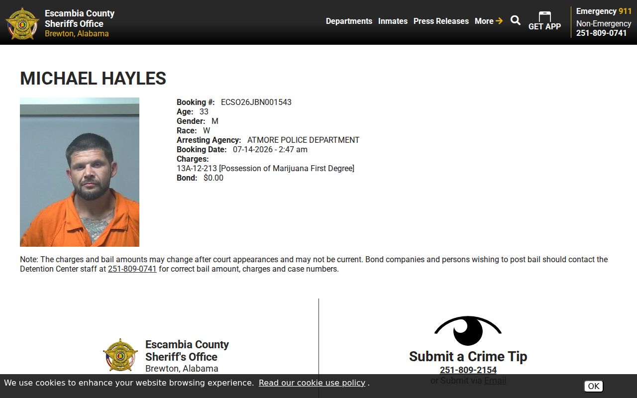 Escambia County arrest records sample inmate profile charge fields